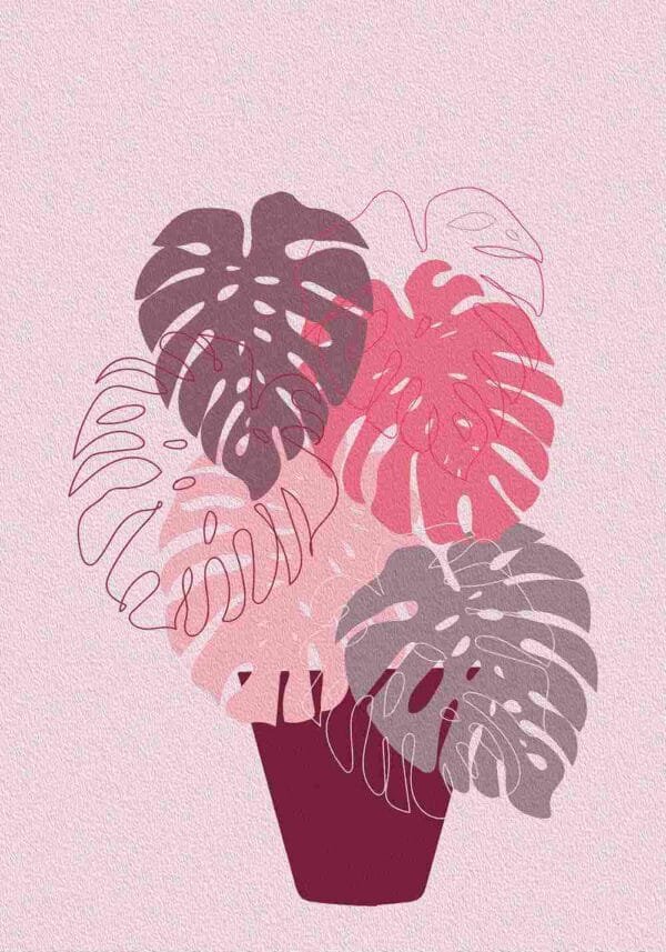 Monstera rosas - Image 2