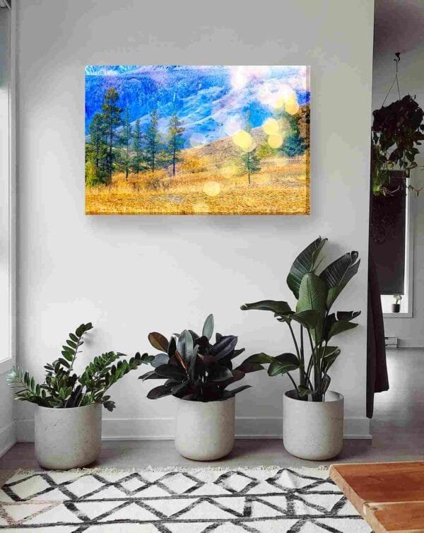 Paisaje campo amarillo