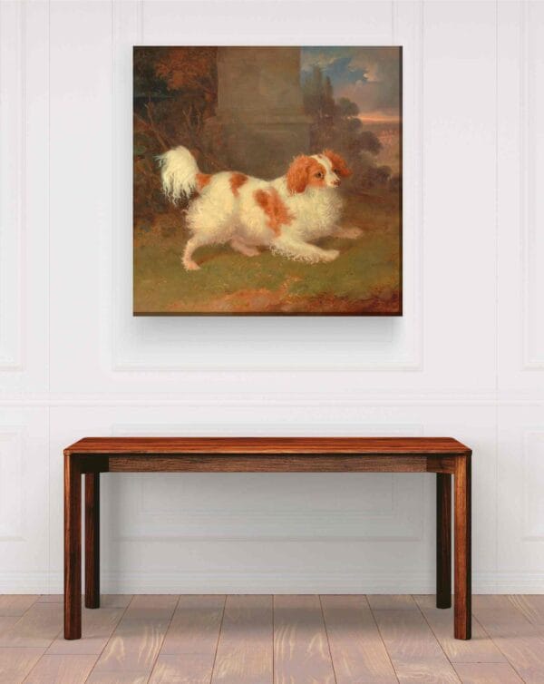 Spaniel