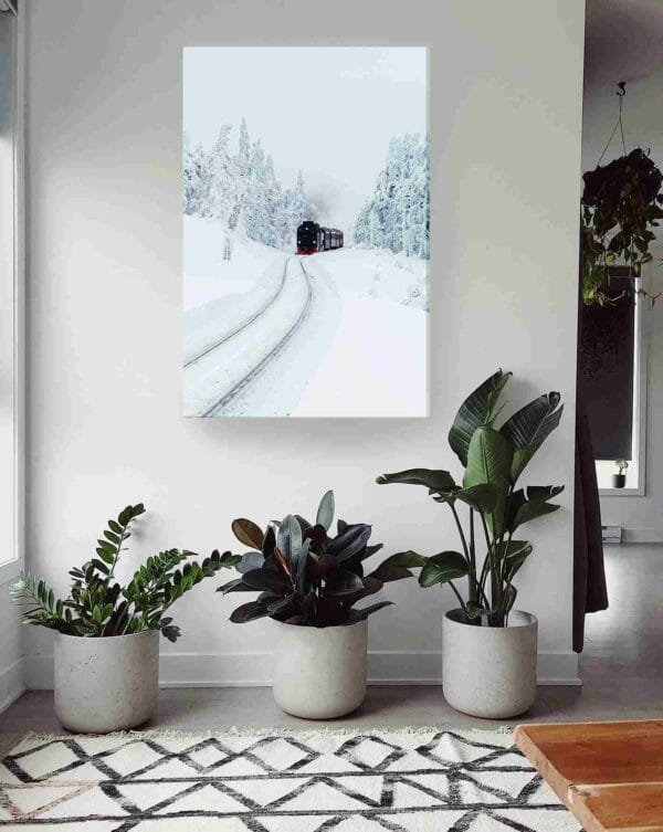 Tren nevado