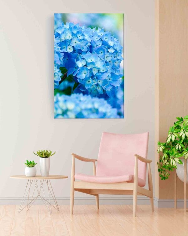 Hortensias