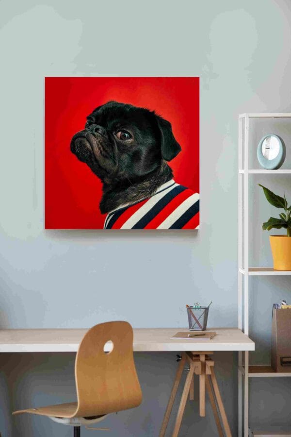 Pug negro fondo rojo