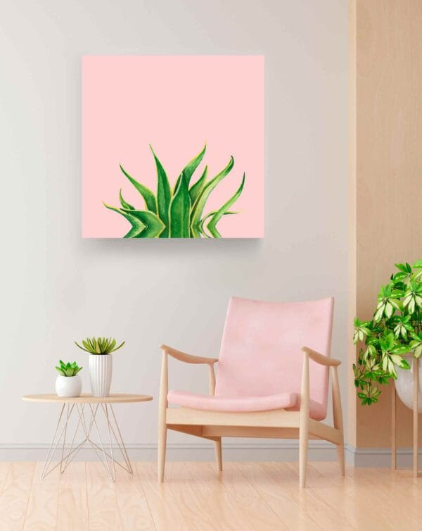 Cactus agave