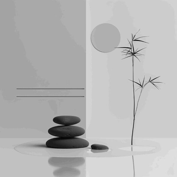 Panorama zen - Image 2