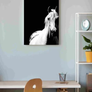 Caballo monocromático