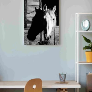 Caballo granero blanco y negro