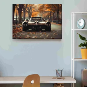 Auto clásico parque