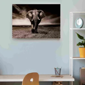 Elefante caminando sepia