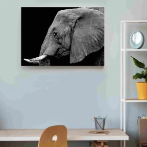 Elefante perfil blanco y negro