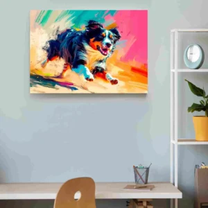 Perro Border Collie colores