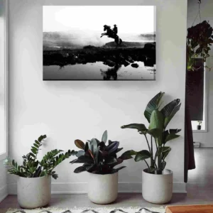 Vaquero blanco y negro