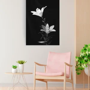 Lirios blanco y negro